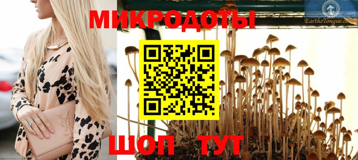 Галлюциногенные грибы GOLDEN TEACHER  Вход с VPN  Псилоцибиновые грибы прущие грибы  Саки 
